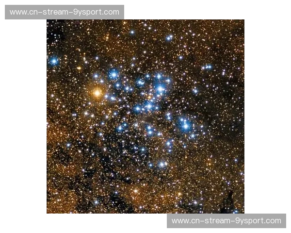 飞翼vs神秘人：谁将揭开宇宙的终极面纱？